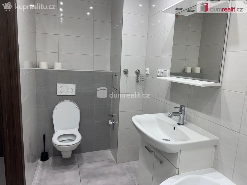 Pronájem bytu 2+1 54 m^2 Návětrná, Ústí nad Labem 