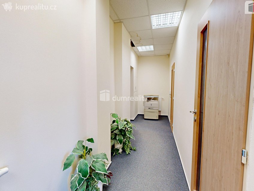 Pronájem  kanceláře 12 m^2 U Cukrovaru, Opava 