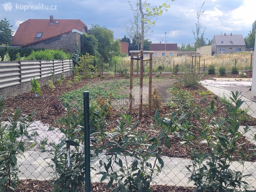 Pronájem  rodinného domu 120 m^2 Pechlátova, Kladno 