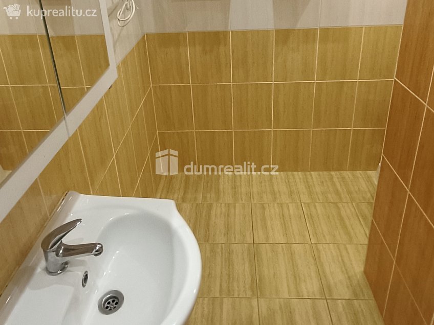 Pronájem bytu 1+1 35 m^2 Družstevní, Benešov nad Ploučnicí 