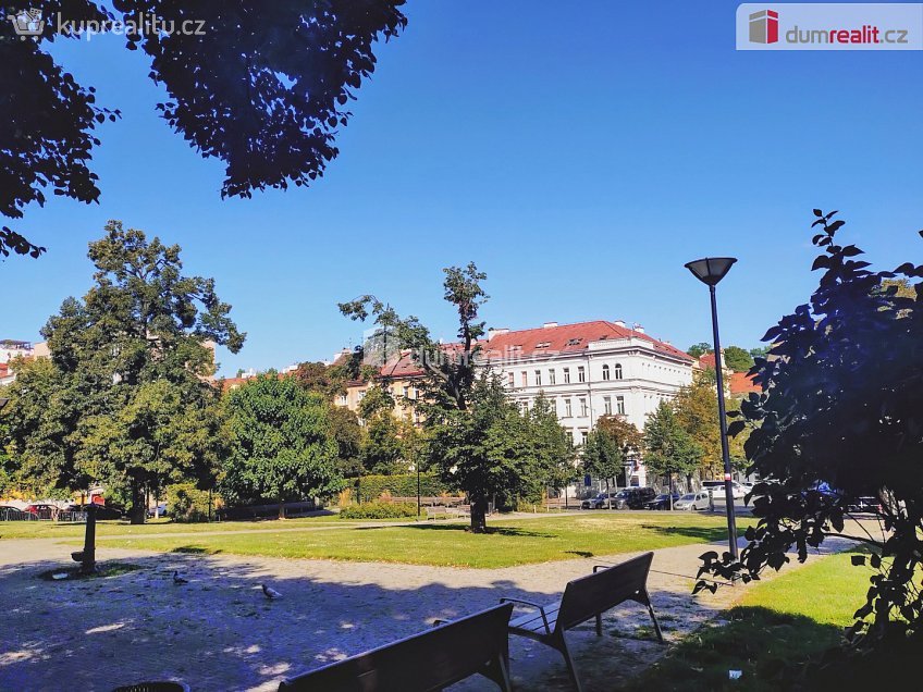 Pronájem  kanceláře 21 m^2 Žerotínova, Praha 3 