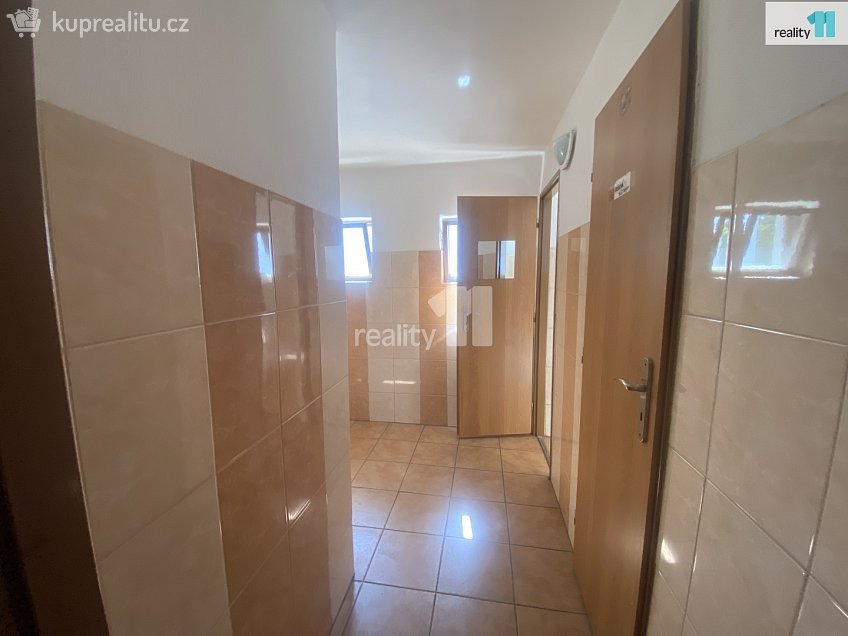 Pronájem  komerční reality 185 m^2 Kamýk nad Vltavou, Kamýk nad Vltavou 
