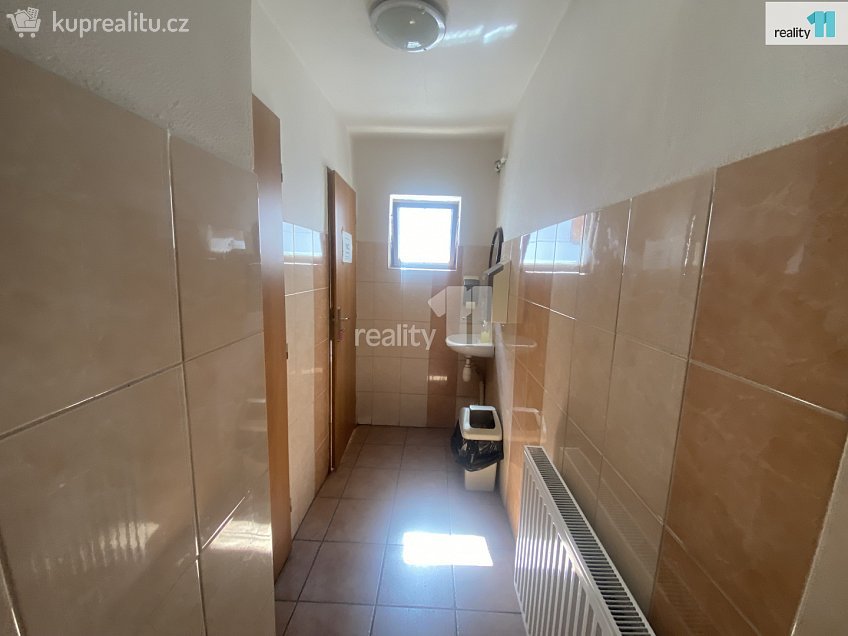 Pronájem  komerční reality 185 m^2 Kamýk nad Vltavou, Kamýk nad Vltavou 