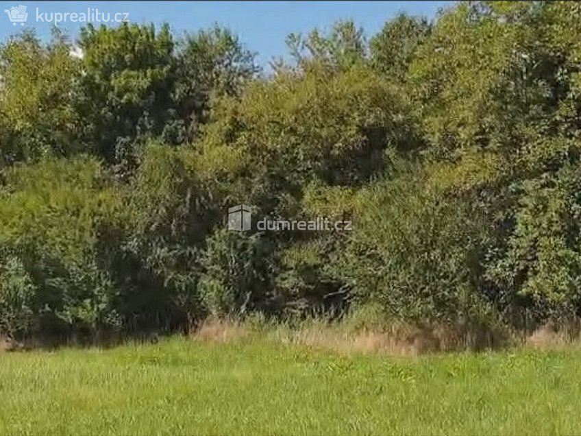 Prodej  zahrady 1141 m^2 Hranice, Hranice 