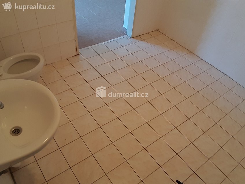 Pronájem  obchodních prostor 62 m^2 Na Kněžině, Týnec nad Sázavou 