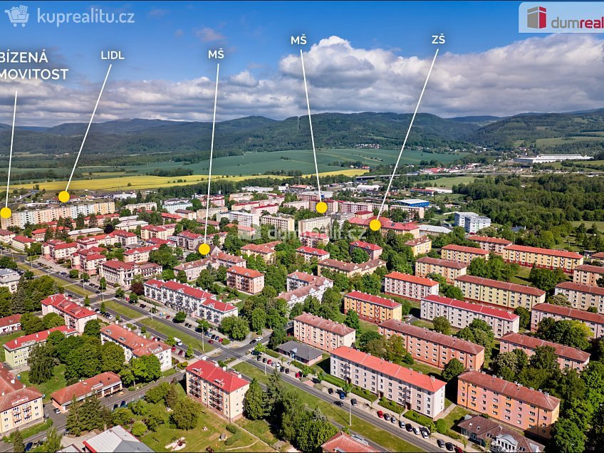 Prodej bytu 3+1 61 m^2 Kollárova, Ostrov 