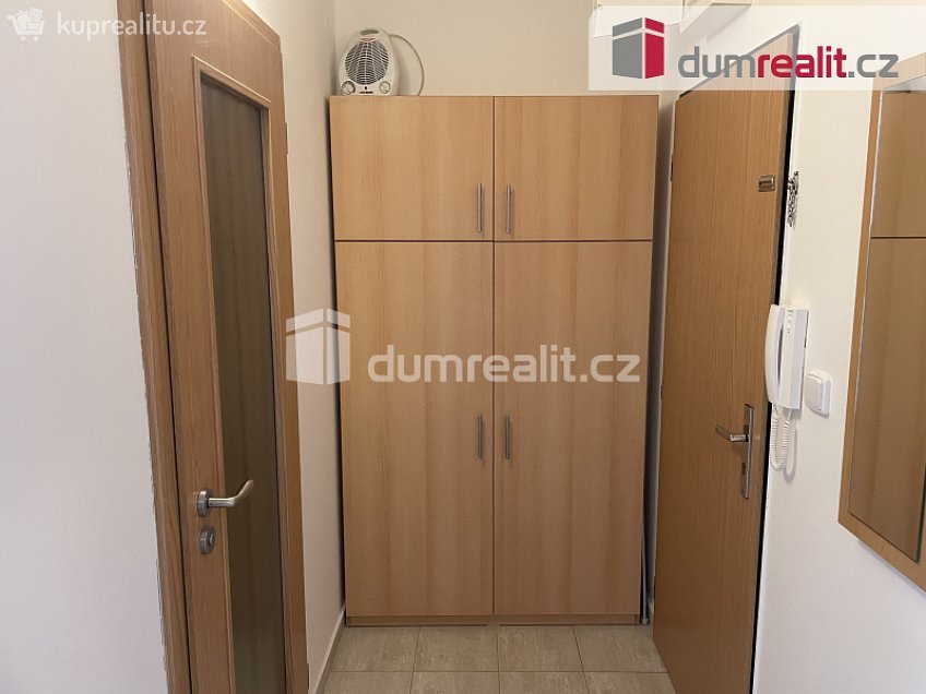 Pronájem bytu 1+1 31 m^2 Na Výsluní, Zruč nad Sázavou 