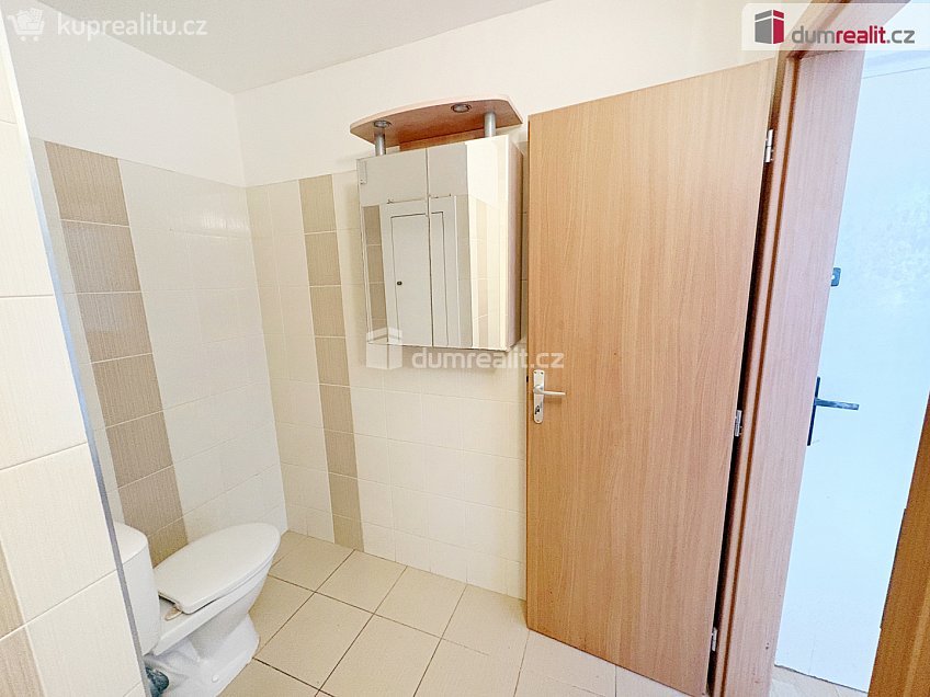 Prodej bytu 1+1 35 m^2 Osvoboditelů, Lovosice 