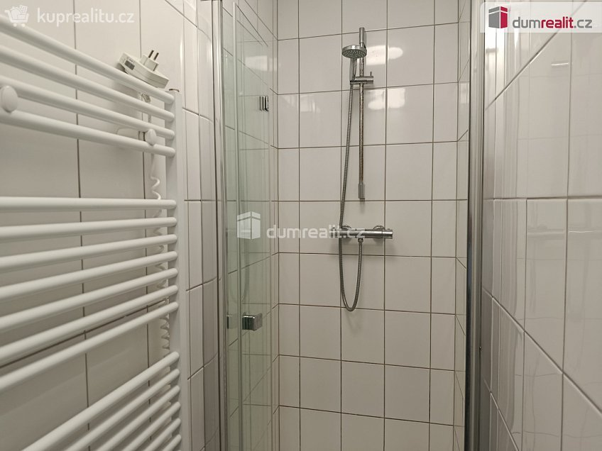 Pronájem bytu 1+1 28 m^2 Týmlova, Praha 4 