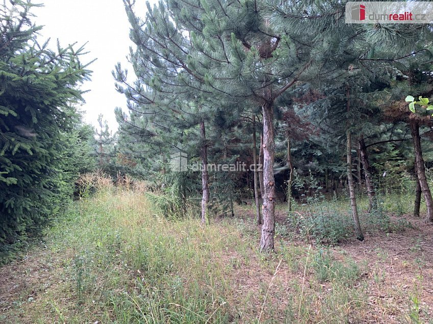Prodej  stavebního pozemku 4059 m^2 Tmaň, Tmaň 