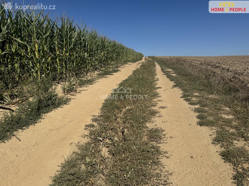 Prodej  komerční reality 152 m^2 Čechtice, Čechtice 