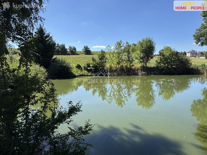 Prodej  komerční reality 152 m^2 Čechtice, Čechtice 
