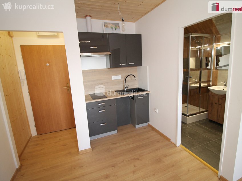 Pronájem bytu 1+kk 25 m^2 Hlavní třída, Mariánské Lázně 