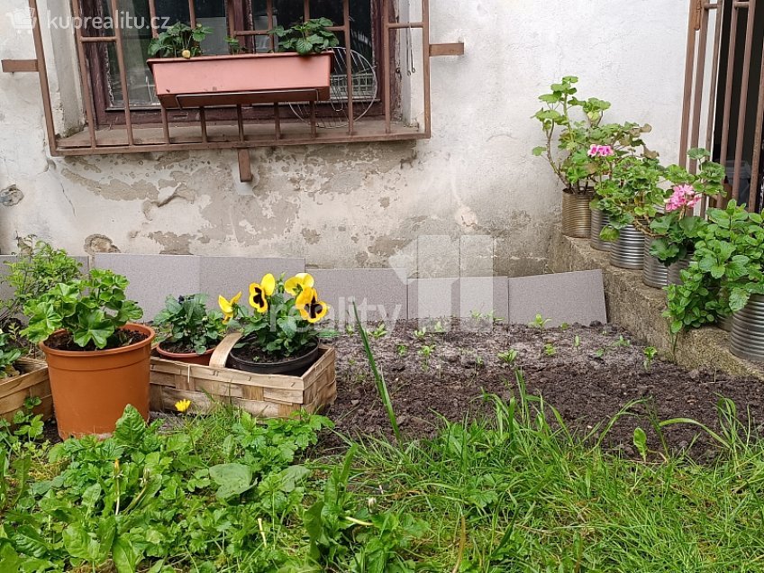 Pronájem bytu 2+1 60 m^2 Jindřicha z Lipé, Česká Lípa 