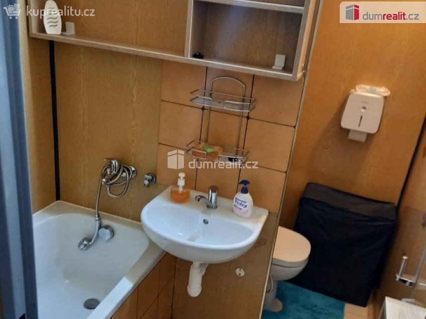 Prodej bytu 1+kk 26 m^2 Na Pastvisku, Opava 