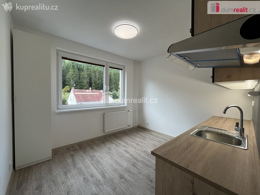 Prodej bytu 2+1 60 m^2 Pod nádražím, Kraslice 
