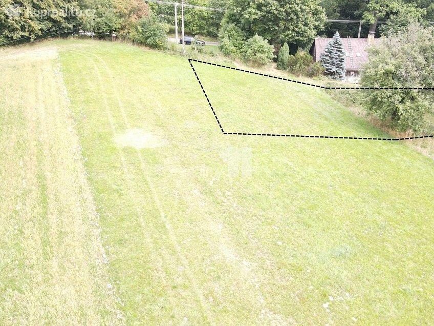 Prodej  stavebního pozemku 11106 m^2 Řečice, Řečice 