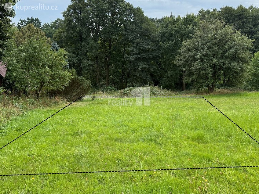 Prodej  stavebního pozemku 11106 m^2 Řečice, Řečice 
