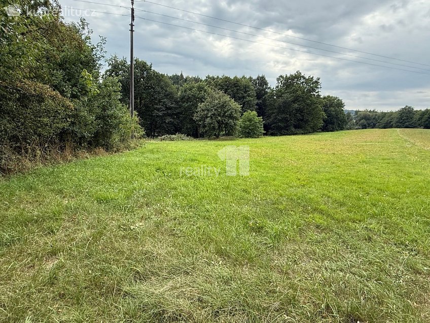 Prodej  stavebního pozemku 11106 m^2 Řečice, Řečice 