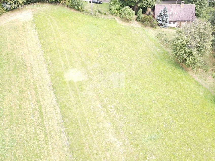 Prodej  stavebního pozemku 11106 m^2 Řečice, Řečice 