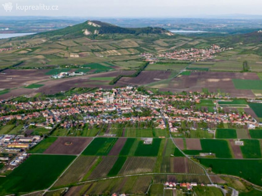 Prodej  pole 20996 m^2 Dolní Dunajovice, Dolní Dunajovice 
