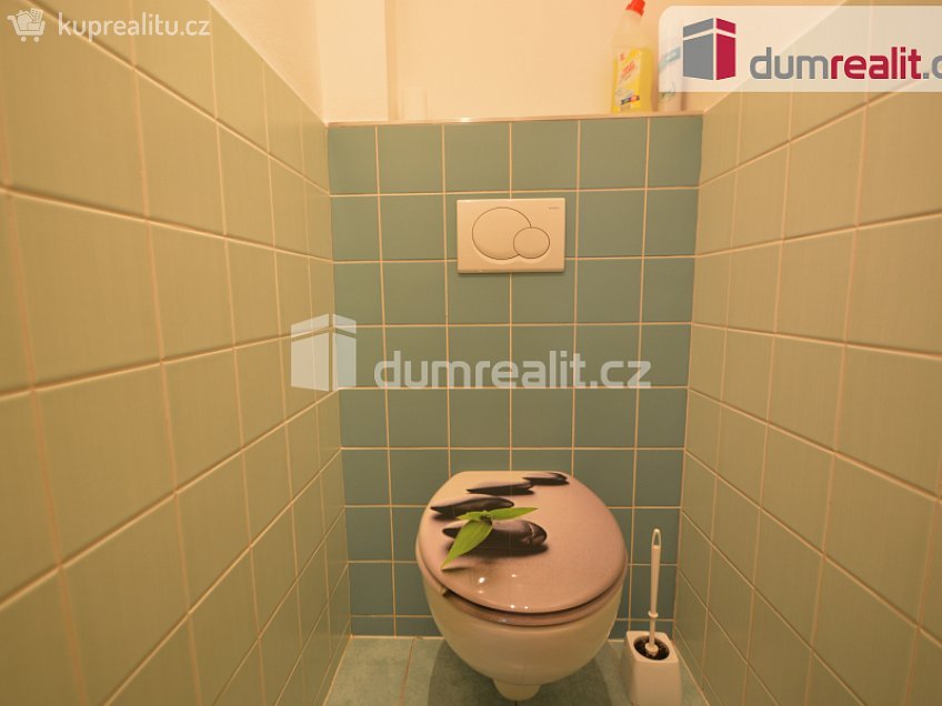 Pronájem bytu 2+1 65 m^2 Podhorská, Praha 5 