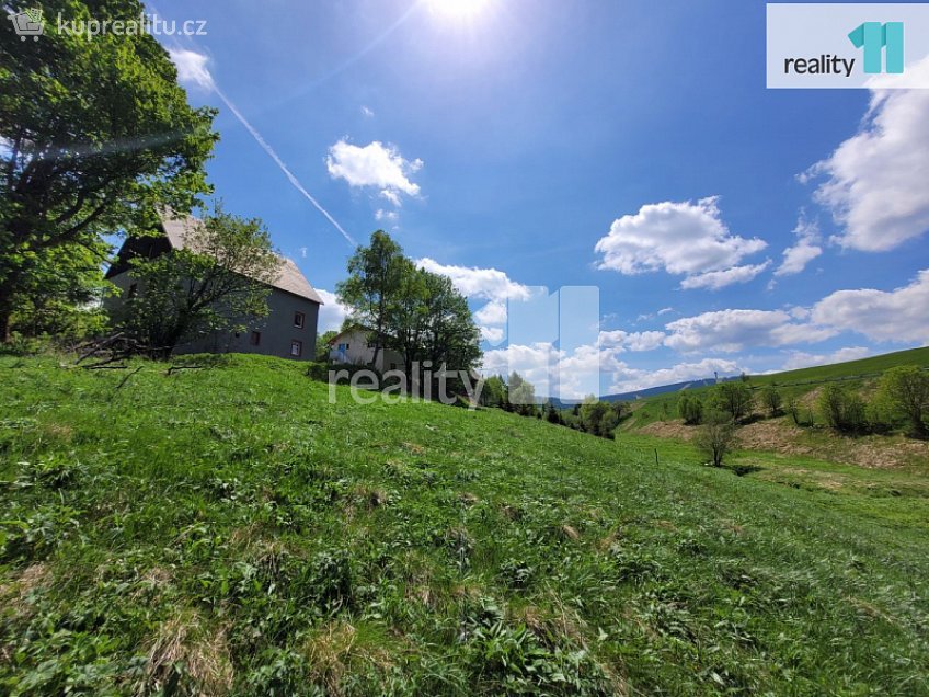 Prodej  stavebního pozemku 2335 m^2 Loučná pod Klínovcem, Loučná pod Klínovcem 