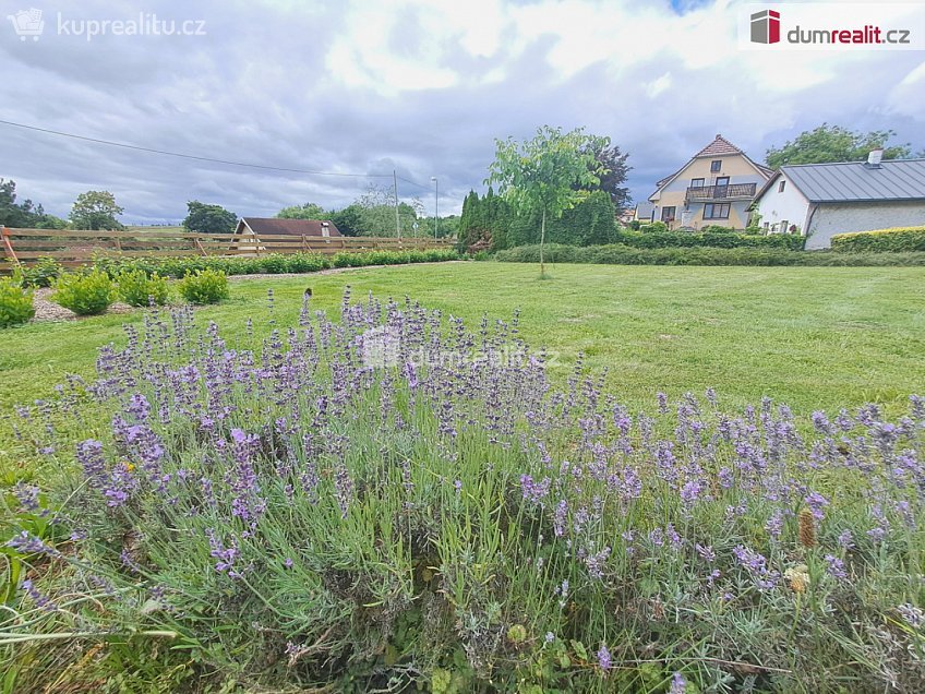 Prodej  stavebního pozemku 1981 m^2 Řendějov, Řendějov 