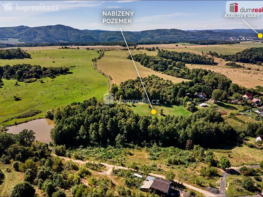 Prodej  stavebního pozemku 21419 m^2 Sadov, Sadov 