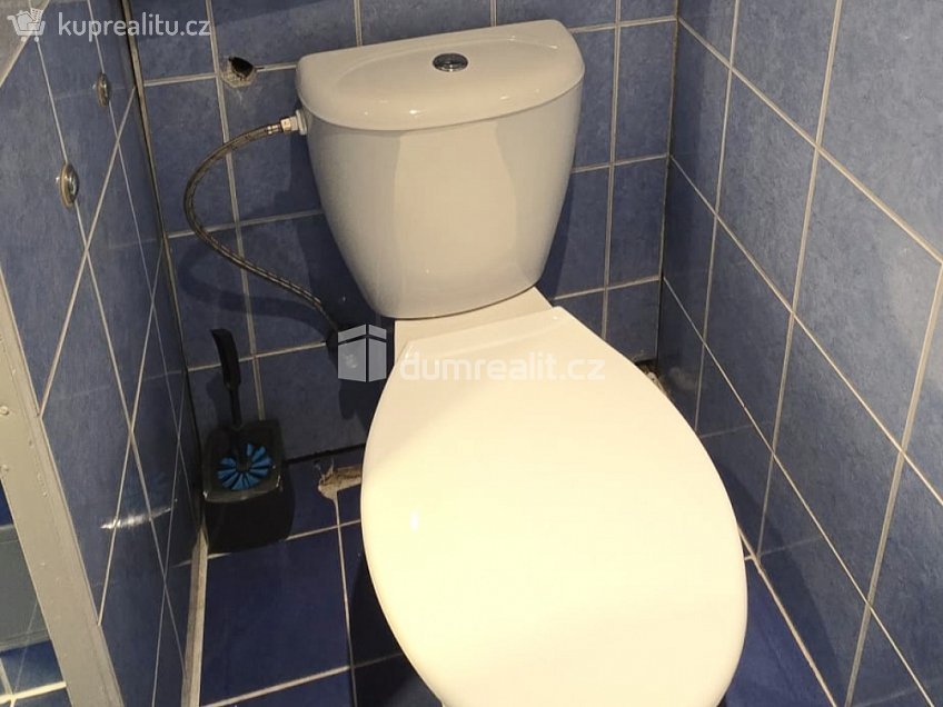 Pronájem bytu 1+1 35 m^2 Spojová, Jílové 