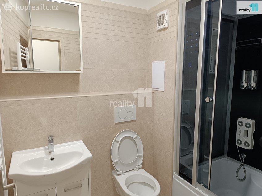 Pronájem bytu 1+1 50 m^2 Karla Čapka, Děčín 