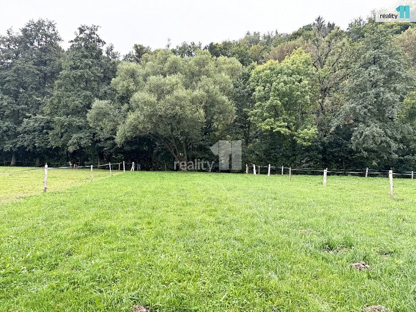 Prodej  louky 2128 m^2 Turnov, Turnov 