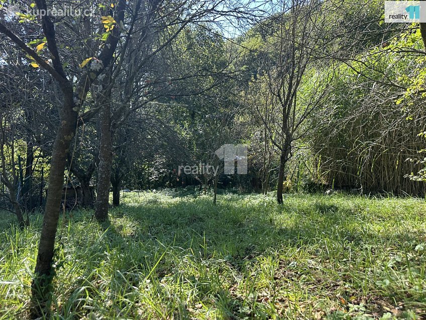 Prodej  chaty 18 m^2 Březnice, Březnice 