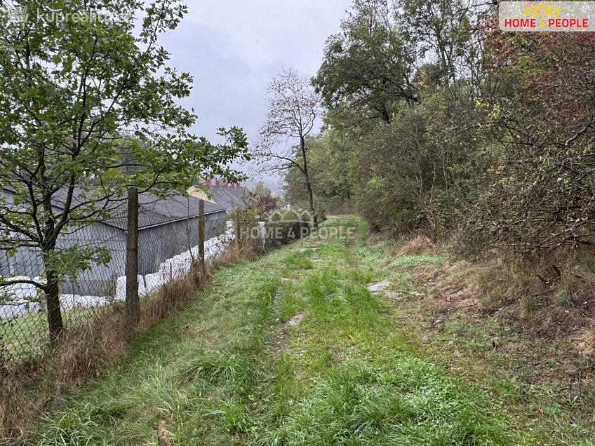 Prodej  stavebního pozemku 20452 m^2 Za Mnichem, Netolice 