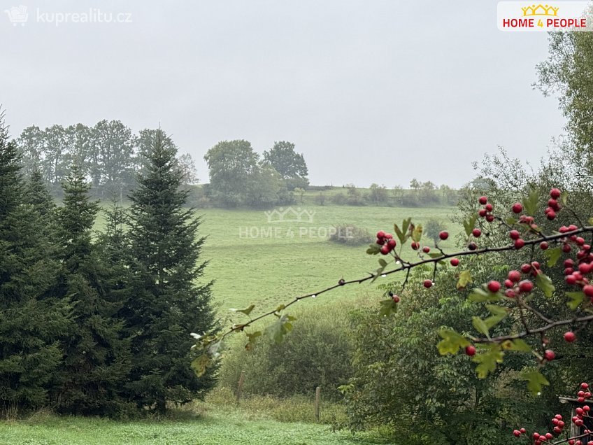 Prodej  stavebního pozemku 20452 m^2 Za Mnichem, Netolice 