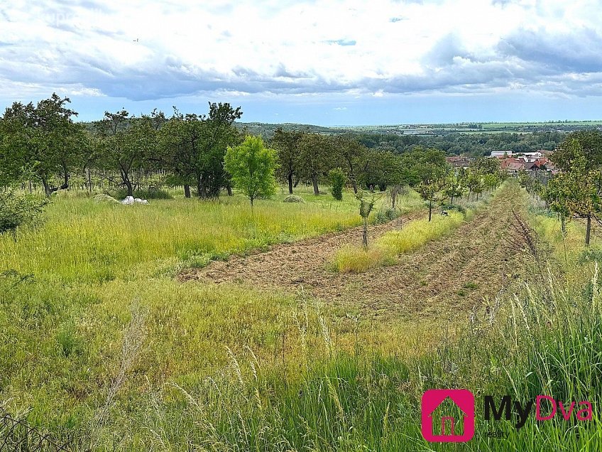 Prodej  stavebního pozemku 1043 m^2 Dobšice, Dobšice 
