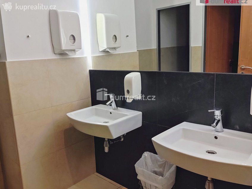 Pronájem  kanceláře 21 m^2 Žerotínova, Praha 3 