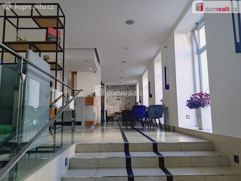 Pronájem  kanceláře 21 m^2 Žerotínova, Praha 3 