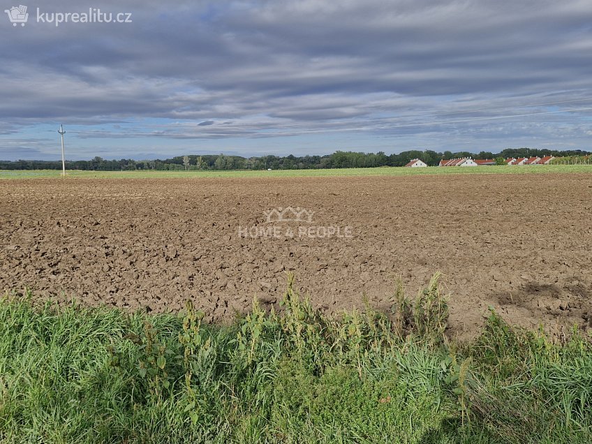 Prodej  stavebního pozemku 12361 m^2 Malešovice, Malešovice 