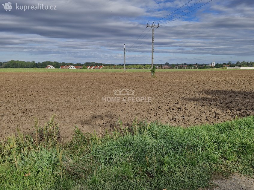 Prodej  stavebního pozemku 12361 m^2 Malešovice, Malešovice 