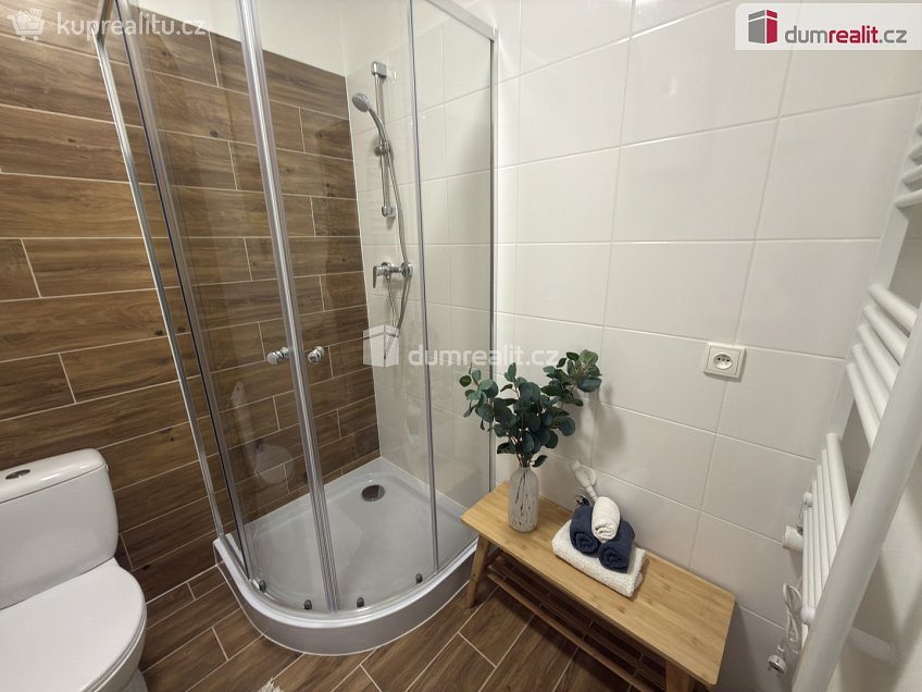 Pronájem bytu 2+kk 39 m^2 Purkyňova, Ústí nad Labem 