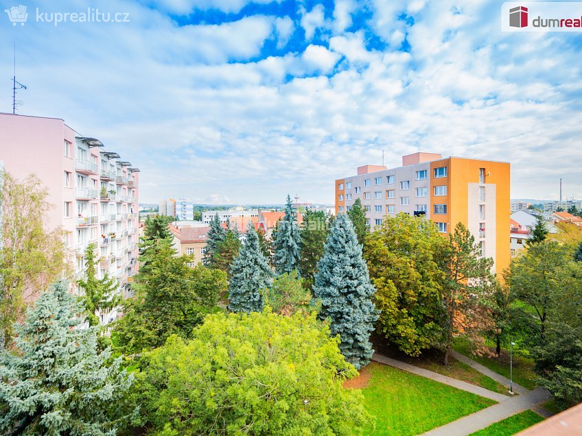 Pronájem bytu 2+1 64 m^2 Pekárenská, České Budějovice 