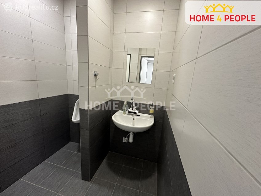 Pronájem  obchodních prostor 56 m^2 Čemínská, Město Touškov 