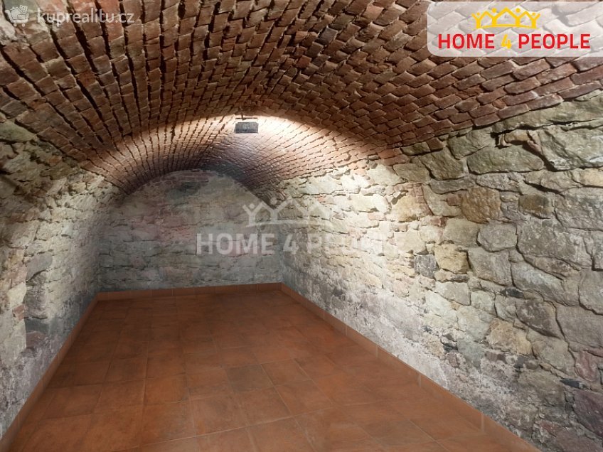 Pronájem  obchodních prostor 56 m^2 Čemínská, Město Touškov 