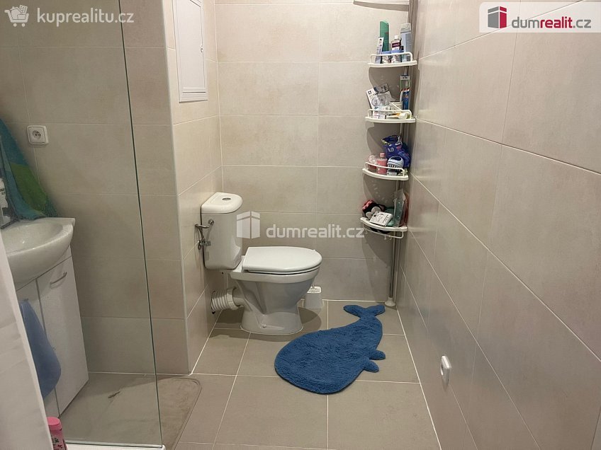 Pronájem bytu 2+1 54 m^2 Mírová, Cheb 