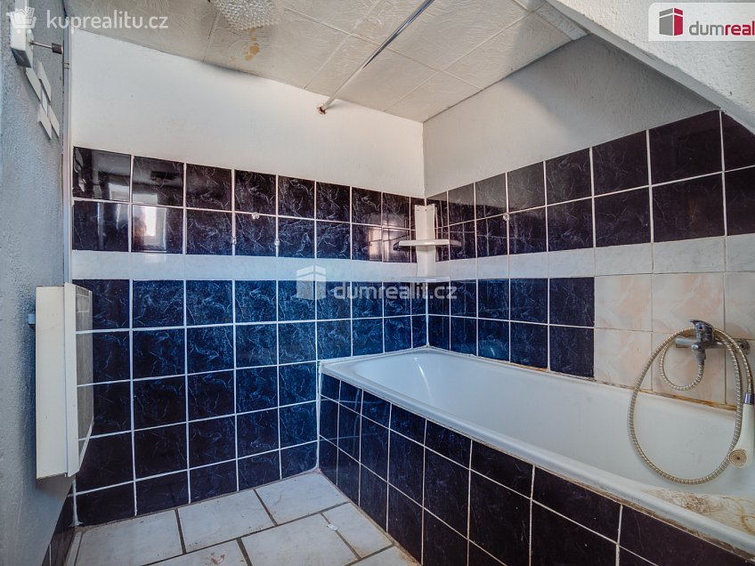 Prodej  rodinného domu 249 m^2 Podomí, Podomí 