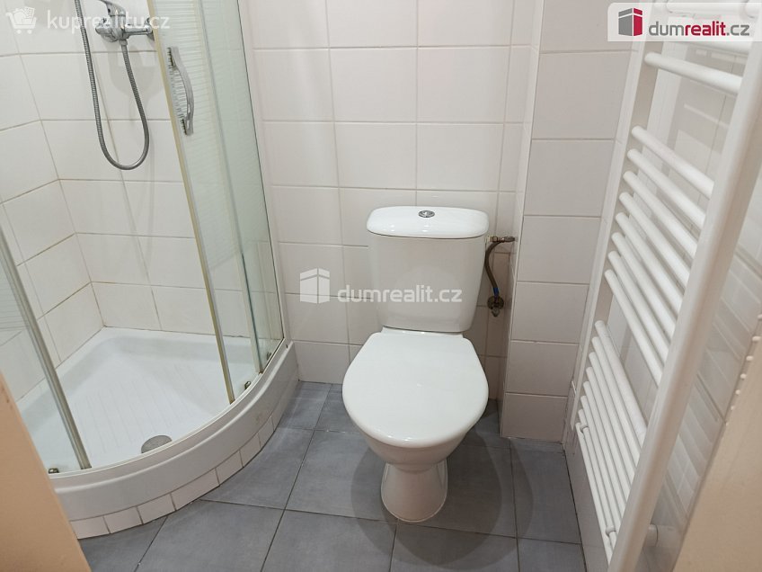 Pronájem bytu 1+1 54 m^2 Na spojce, Praha 10 