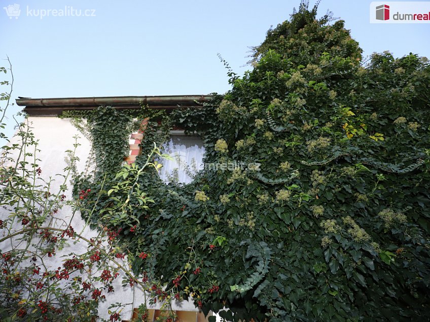 Prodej  rodinného domu 60 m^2 Holenická, Praha 19 