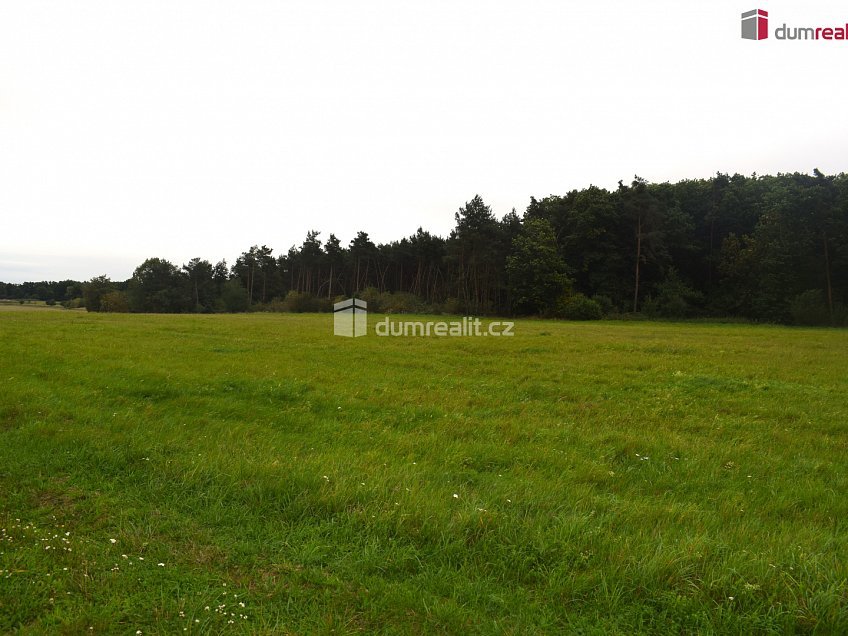 Prodej  pole 6490 m^2 Pražská, Benátky nad Jizerou 