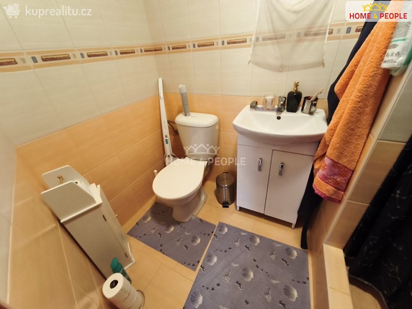 Prodej  rodinného domu 500 m^2 Plánice, Plánice 